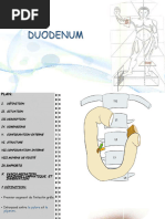 Anatomie du Duodénum et Ses Rapports | PDF | Pancréas | Anatomie