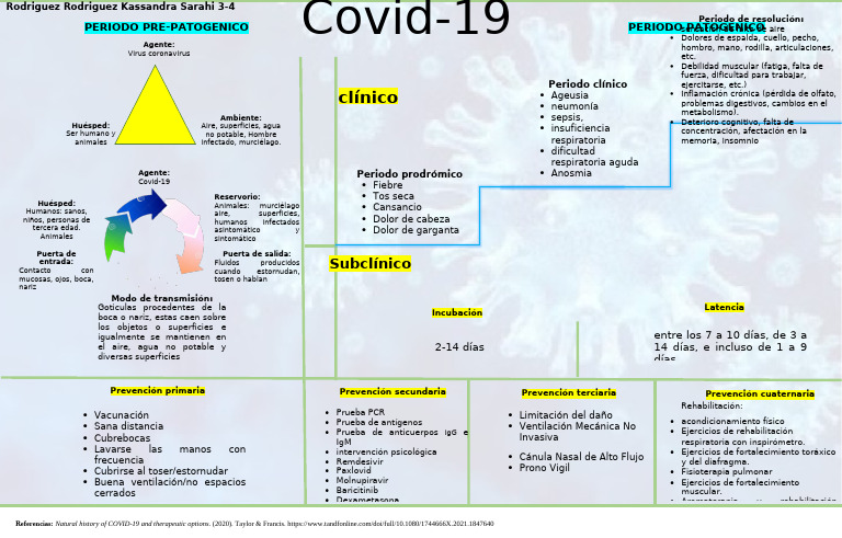 Historia Natural de La Enfermedad COVID 19 | PDF | Causas de la muerte ...