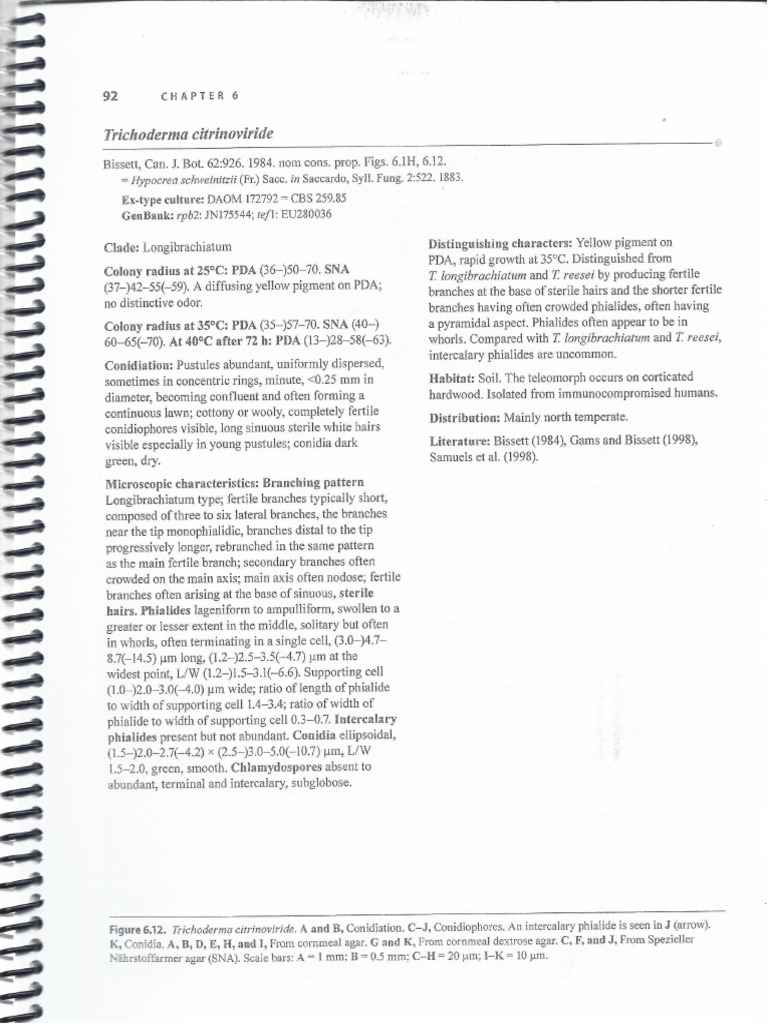 Trichode 029 | PDF