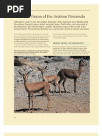 Flora & Fauna of Arabian Peninsula