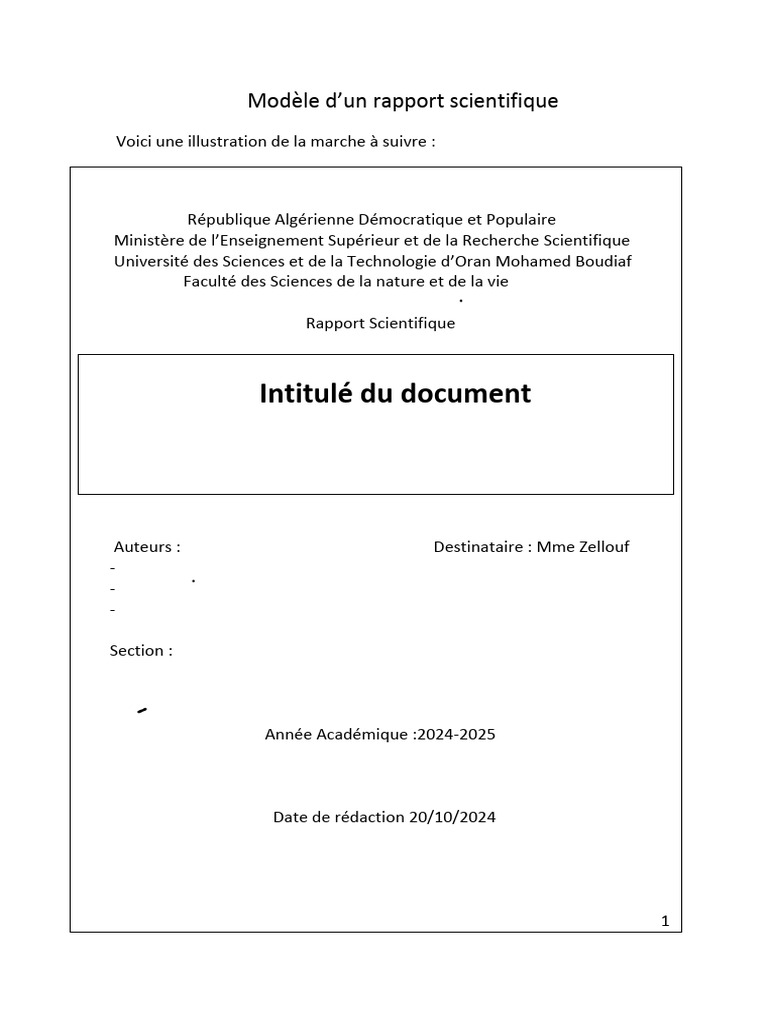 Modèle de Rapport Scientifique | PDF | Affaires | Art