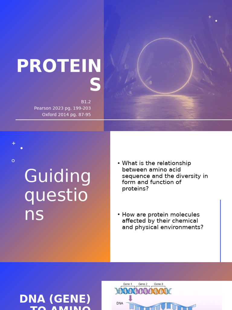 Understanding Protein Structure and Function | PDF | Proteins ...