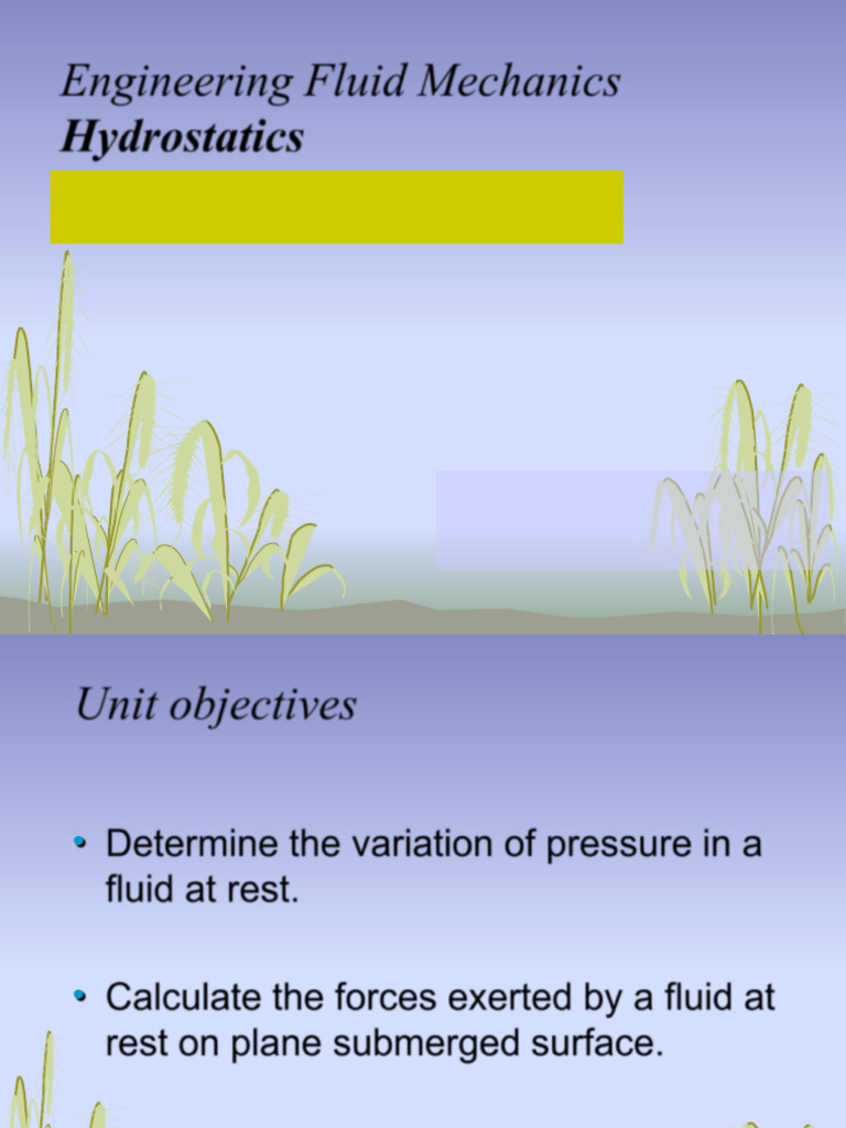 Hydrostatics: Fluid Pressure Principles | PDF | Pressure | Pascal (Unit)