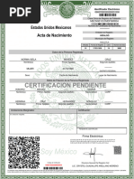 Verificación de Actos Registrales en CEVAR | PDF | Gobierno y ...