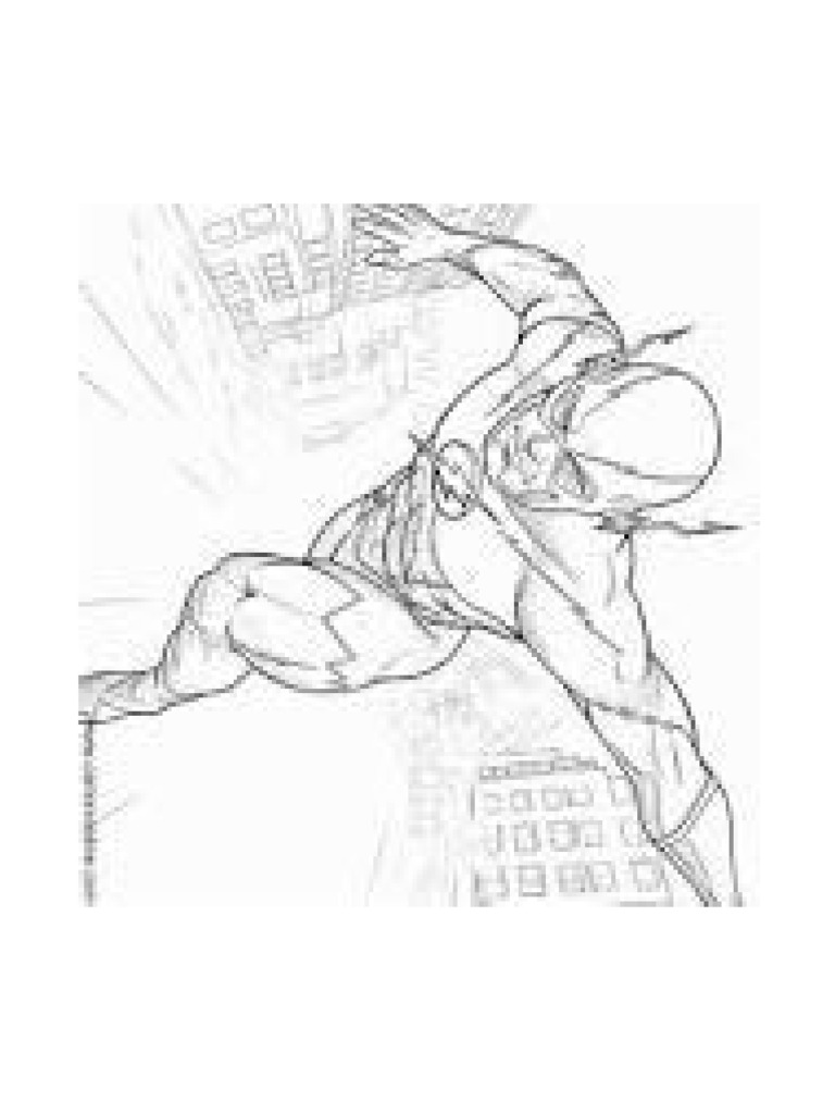 Flash | PDF