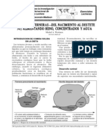 Crianza de Terneras Alimentacion