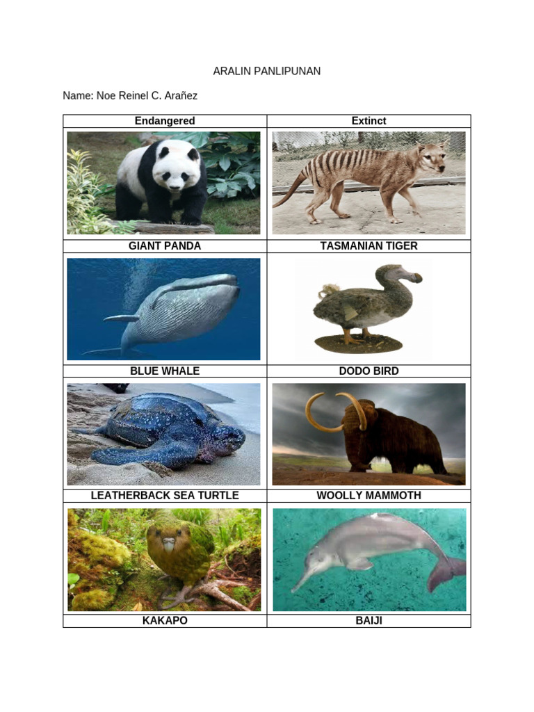 ANIMALS | PDF | Cooking, Food & Wine | Art