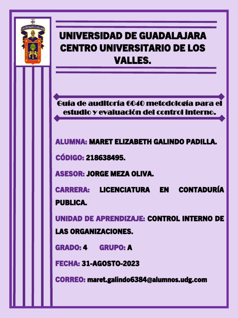 Guía de Auditoría 6040: Control Interno | PDF | Auditoría | Contralor