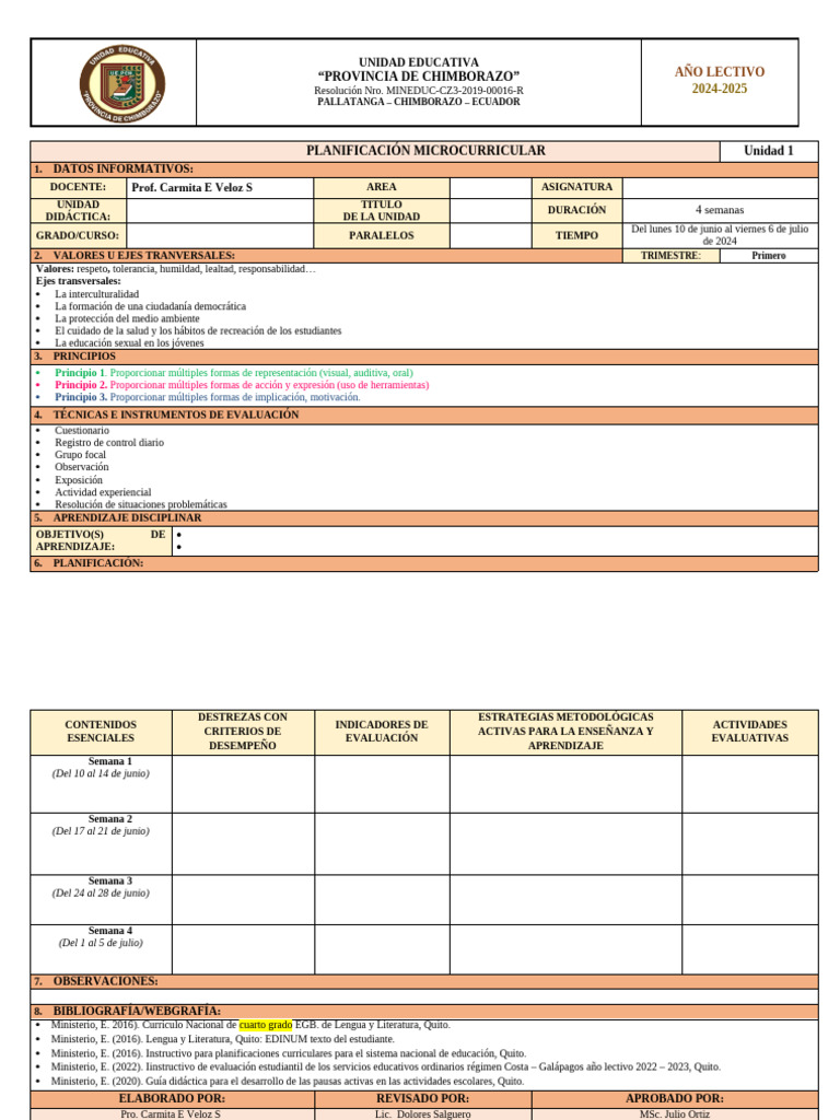 Formato Planificacion | PDF | Evaluación | Plan de estudios