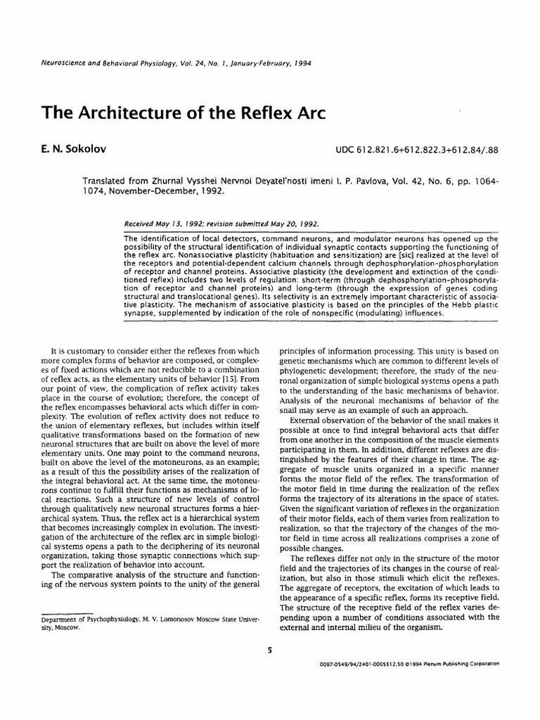 Reflex Arc Architecture in Neuroscience | PDF | Chemical Synapse | Synapse