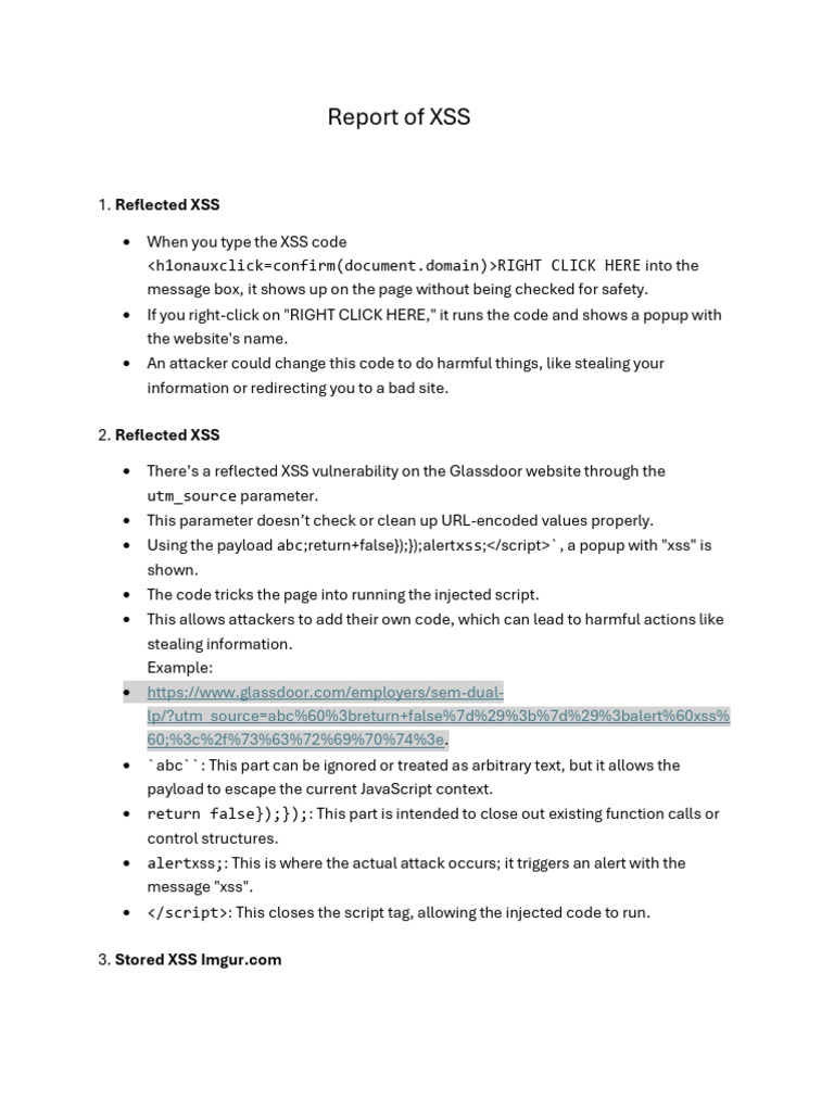 Report of XSS | PDF | Http Cookie | Software