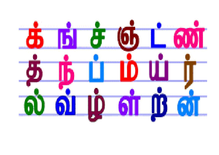 மெய்யெழுத்து குமிழ் | PDF