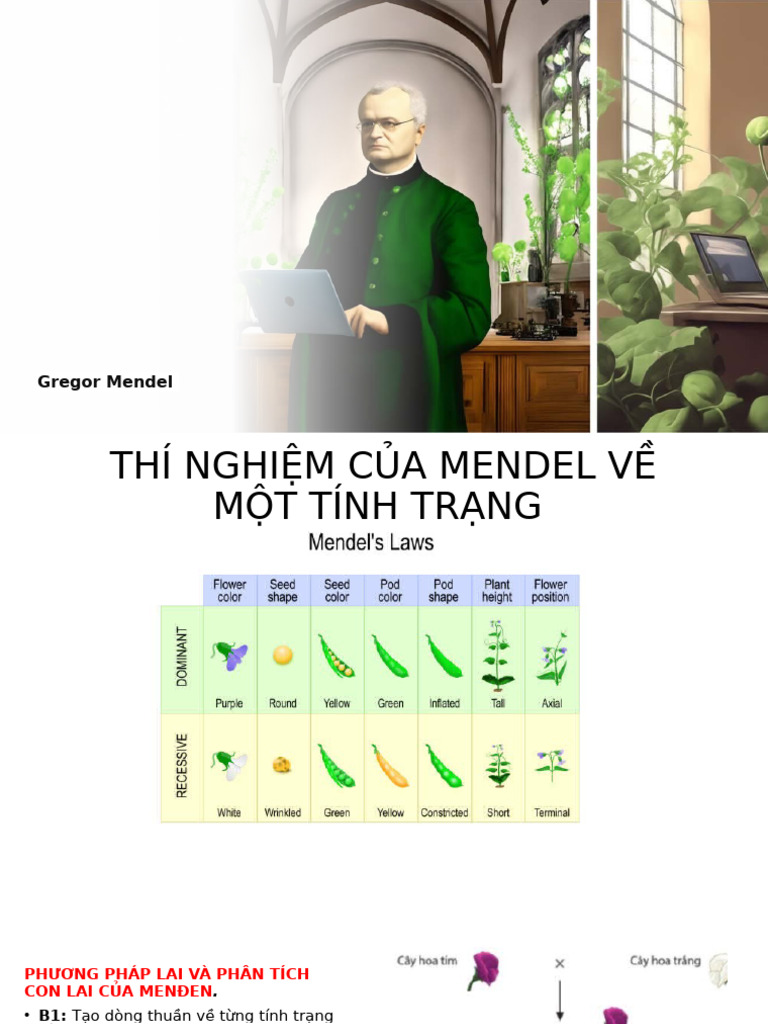 QUY LUẬT DI TRUYỀN CỦA MENDEL | PDF