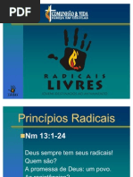 Radicais Livres