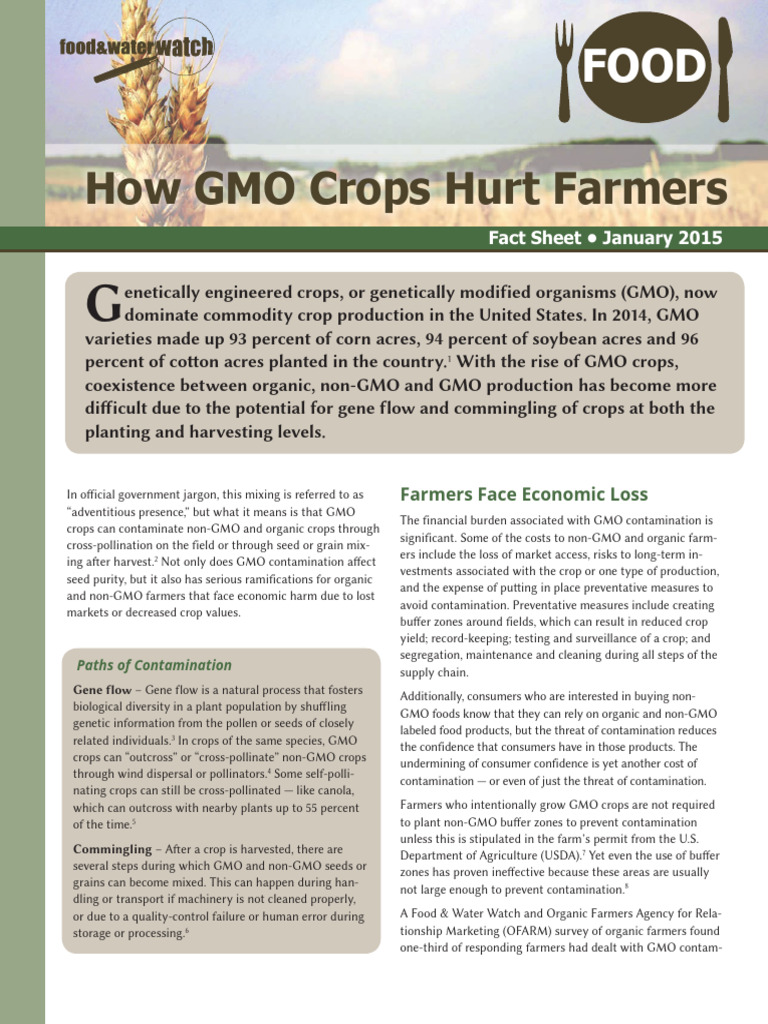 Impact of GMO Crops on Farmers' Livelihoods | PDF | Genetically ...