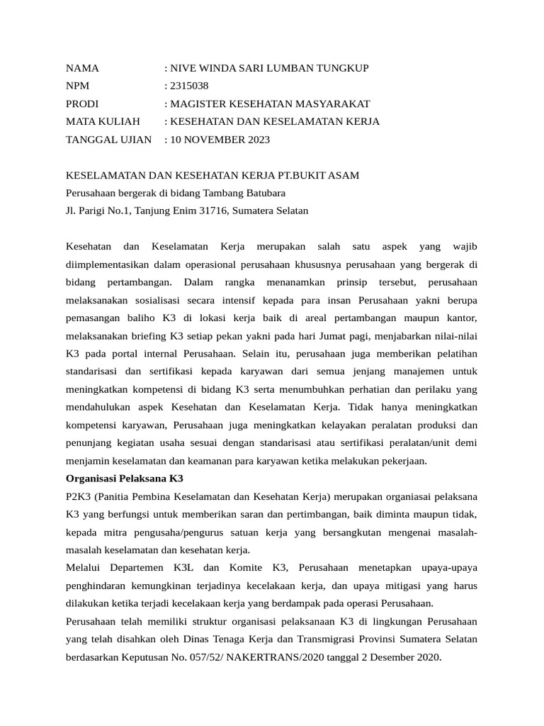 nive-winda-sari-lumban-tungkup-2315038-mk-keselamatan-dan-kesehatan