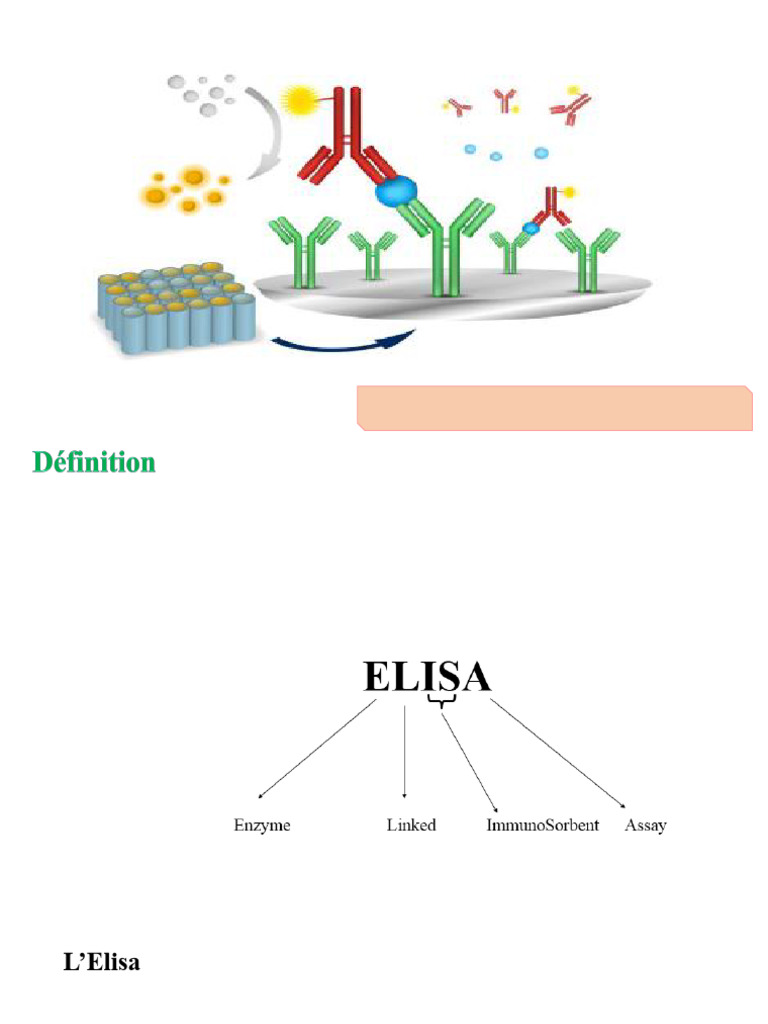 Technique ELISA : Principe et Étapes | PDF | Méthode immuno-enzymatique ...