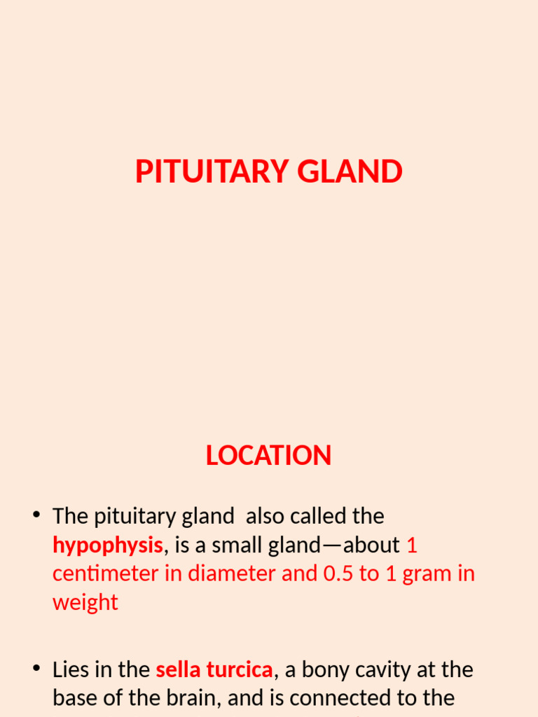 Understanding the Pituitary Gland Functions | PDF | Pituitary Gland ...