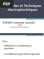 Définition et principe du RFLP | PDF | Réaction en chaîne par ...