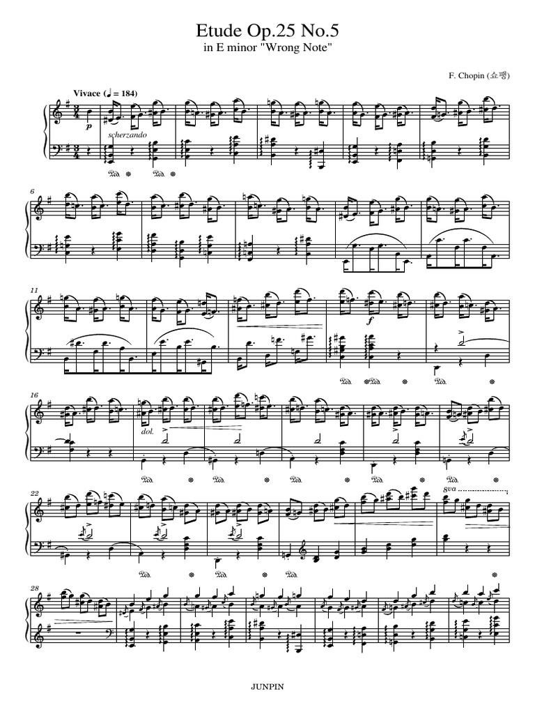 Etude Op.25 No.5: in E Minor 