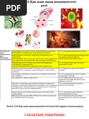 Жол бойындағы жезөкшеге сиыну