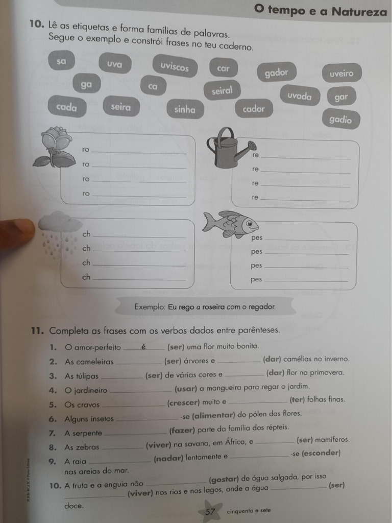 Família de Palavras e Verbos | PDF