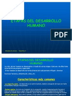 Etapas Del Desarrollo Humano