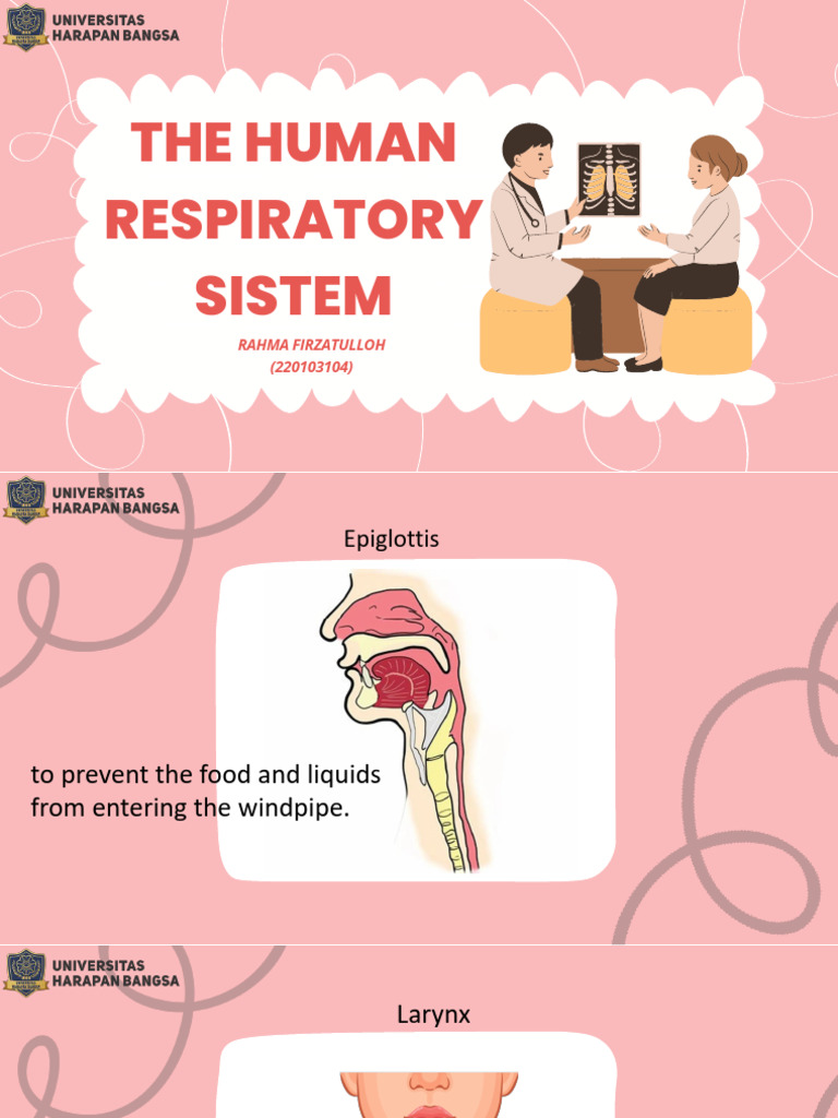 Respiratory System Overview | PDF | Foreign Language Studies | Wellness