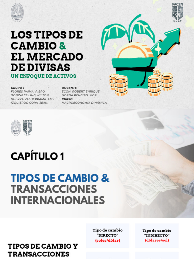 Tipos de Cambio y Mercado de Divisas | PDF | Tipo de cambio | Moneda