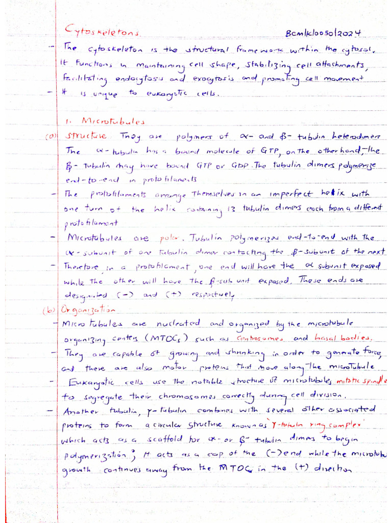 Cytoskeletons (Mine Notes) | PDF