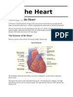 A&P of Heart and Kidneys
