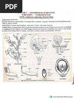 Solanaceae | PDF | Plant Morphology | Branches Of Botany