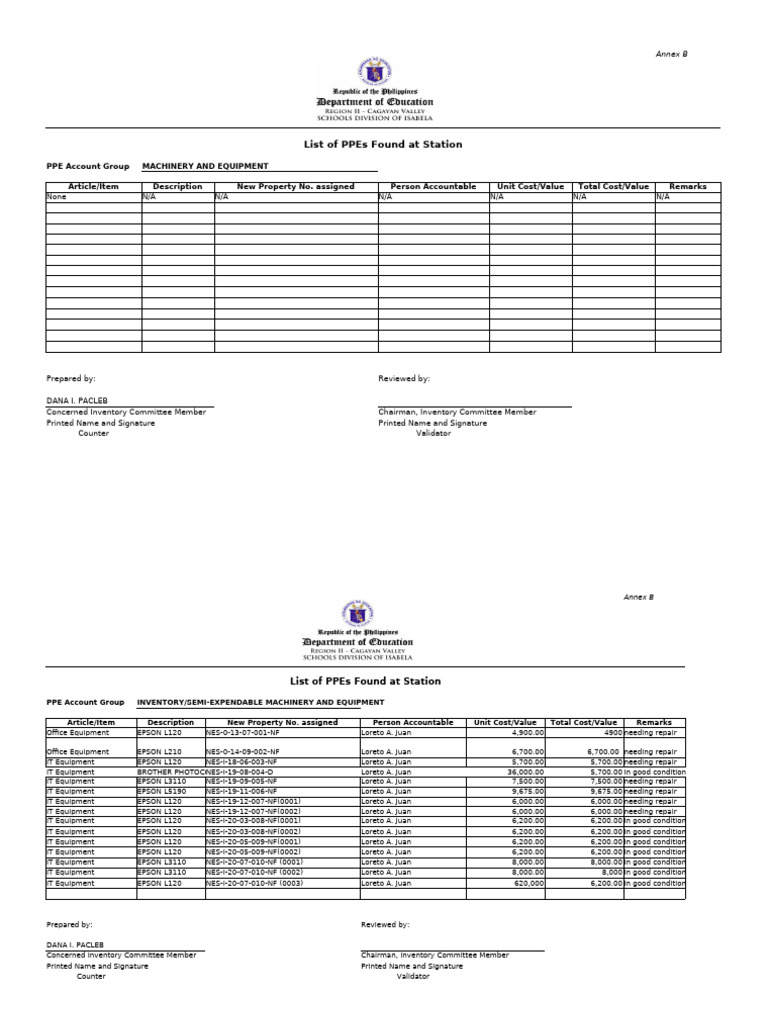 PPE Inventory Report: Annex B | PDF | Personal Protective Equipment ...