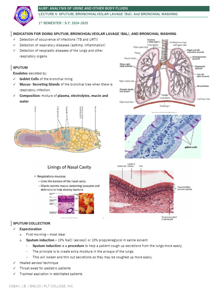 Sputum and Bronchial Lavage Analysis | PDF | Lung | Clinical Medicine