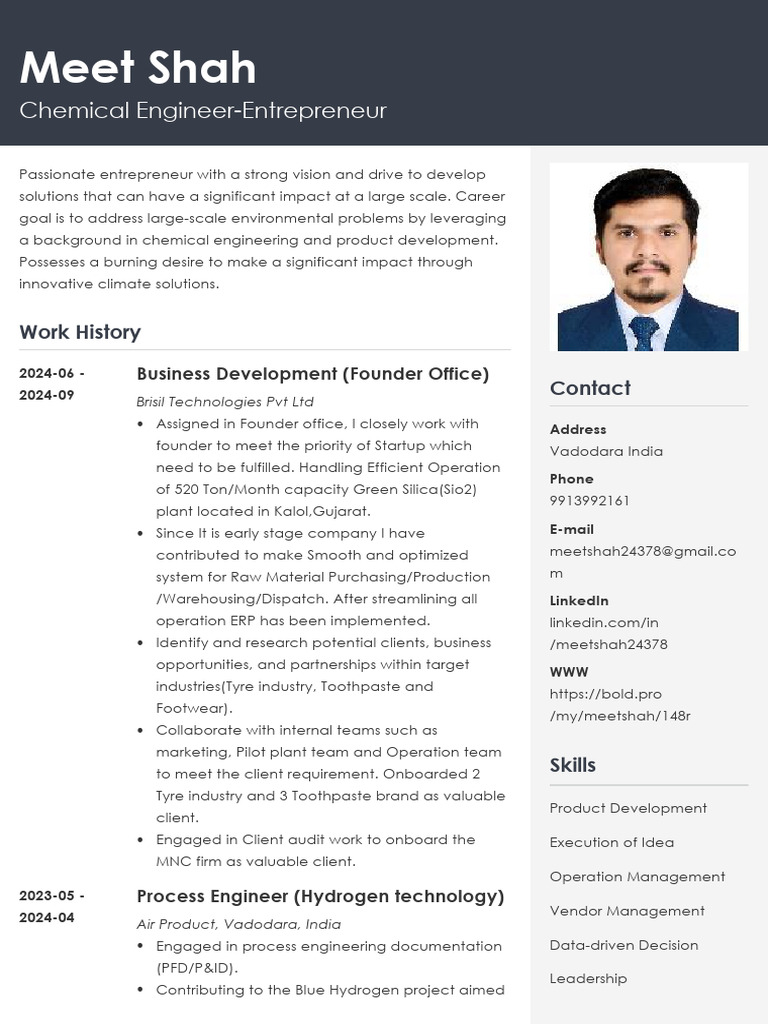 Meet Shah CV | PDF | Business | Art