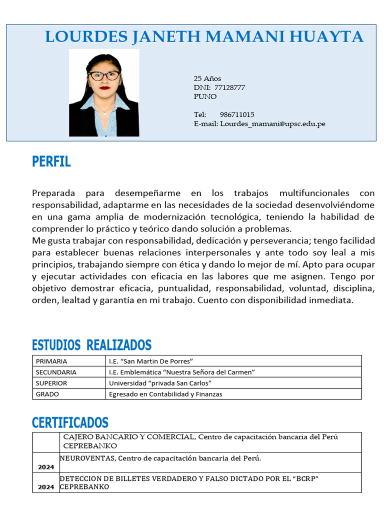 CV Lu | PDF