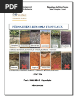 Typologie des Sols : Rendosols et Calcosols | PDF | Argile | Sol ...