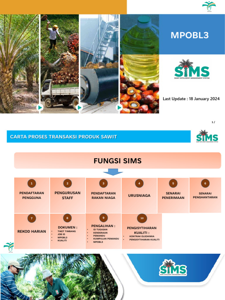 Pengurusan MPOB L3 dan SIMS | PDF