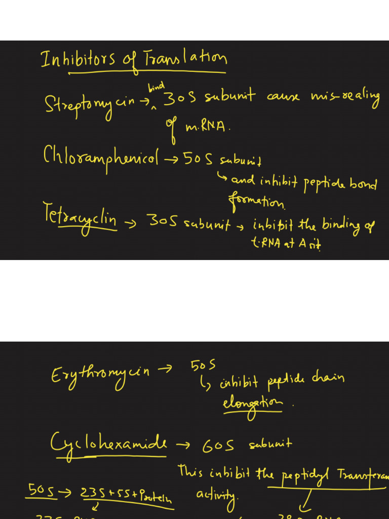 November Mol Bio | PDF