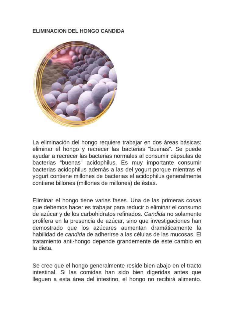 Conoce Que Es El Hongo Candida | PDF | Las bacterias | Candida (hongo)