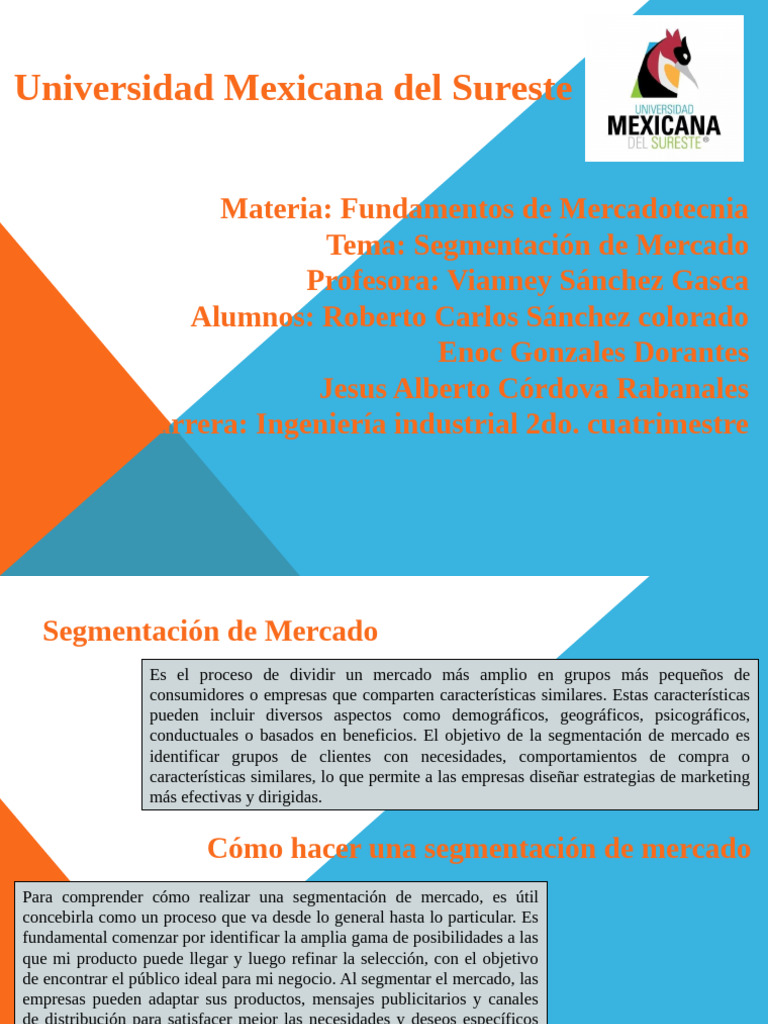 Segmentación de Mercado Efectiva en Marketing | PDF | Mercado (economía ...
