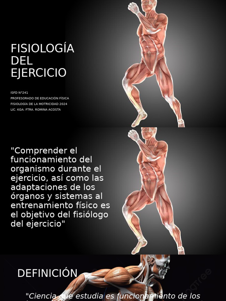 Fisiologia Del Ejercicio | PDF | Músculo | Capilar