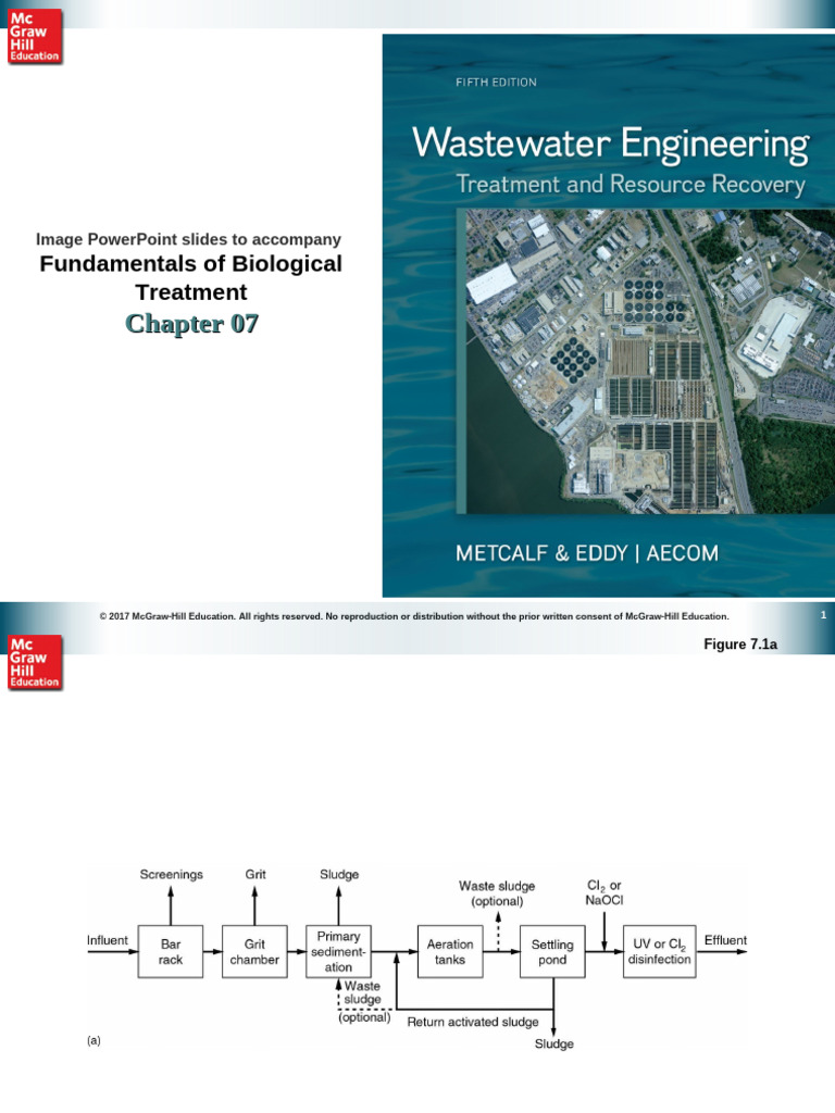 Biological Processes 4 | PDF