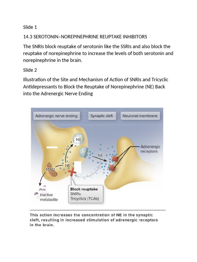 SNRIs and Tricyclic Antidepressants Overview | PDF | Antidepressant ...