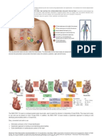 Download How to install EKG  ECG Leadpdf by UMARALEKSANA CV SN78936457 doc pdf