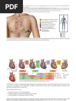 Download How to install EKG  ECG Leadpdf by UMARALEKSANA CV SN78936457 doc pdf