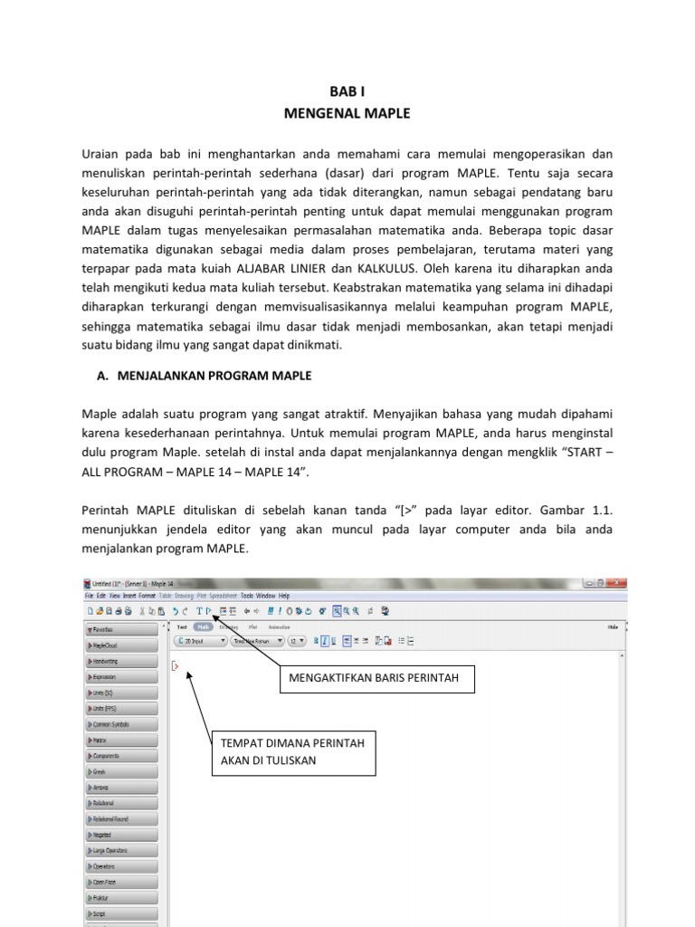 Pengenalan Program Maple Matematika | PDF