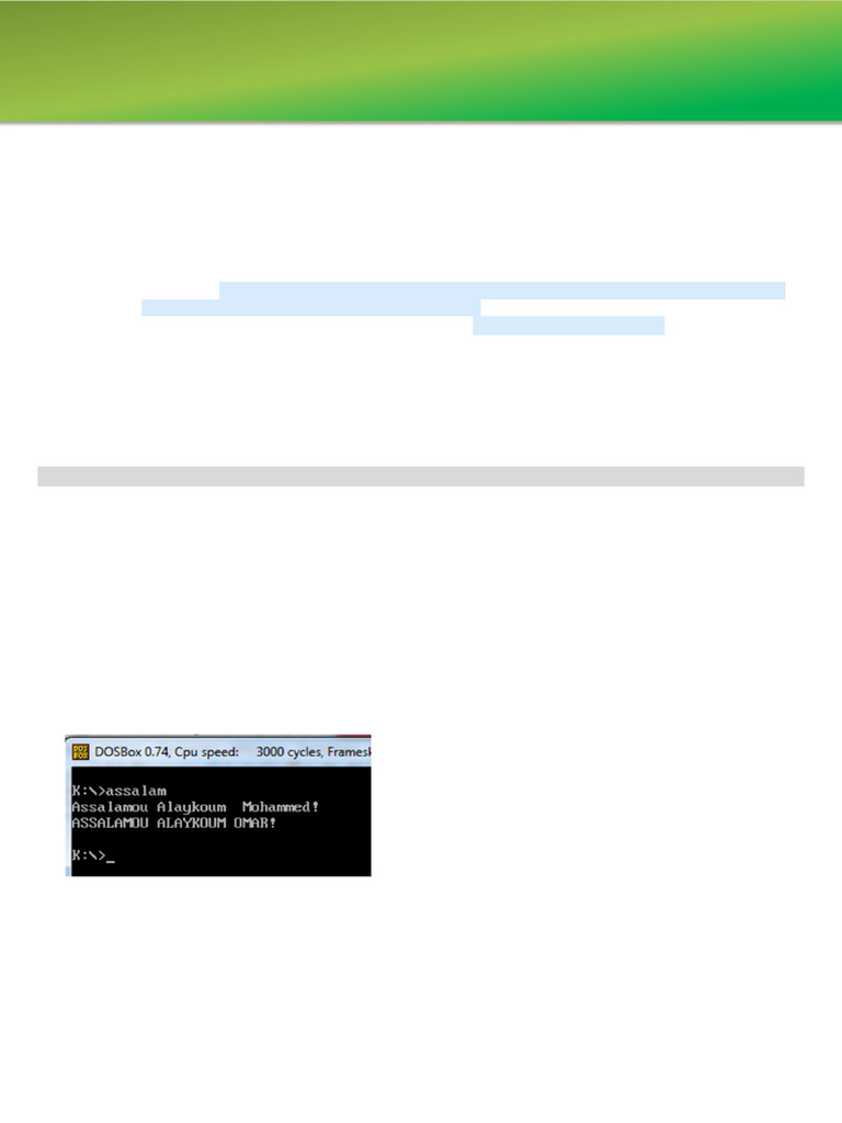 TP NASM : Affichage de Messages | PDF