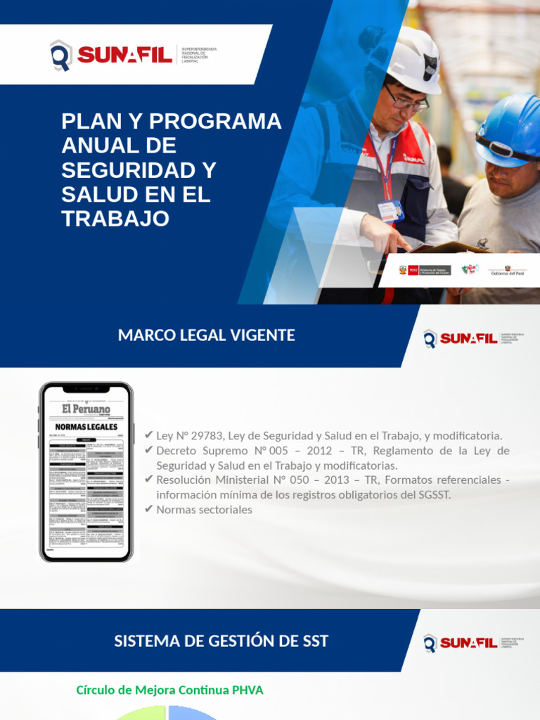 Plan Anual de Seguridad y Salud Laboral | PDF | Presupuesto | Pequeñas ...