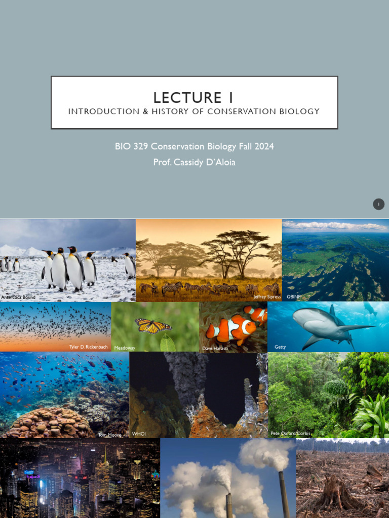 Conservation Biology Overview Fall 2024 | PDF | Conservation Biology ...
